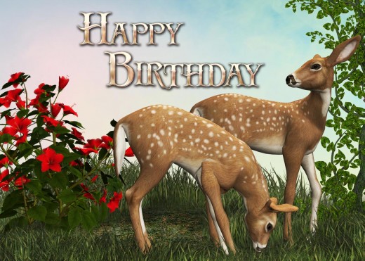 Animal Birthday Card Picture - Start with a simple colored background.