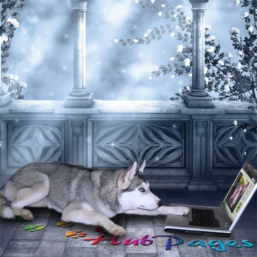 Puppy Lara is busy working on her many writing projects on HubPages.