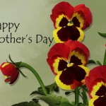 Red Pansies on a green background (Mother's Day Card).