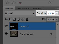 Step 10 - Reset the opacity of our mask layer (Layer 1) to 100%.