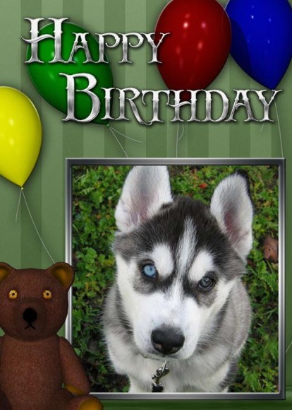 Example Birthday photo greeting card with Siberian Husky puppy photo.