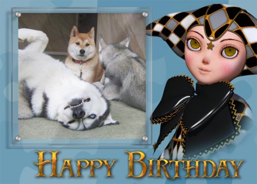 Photo greeting card with birthday clown and photo of dogs.