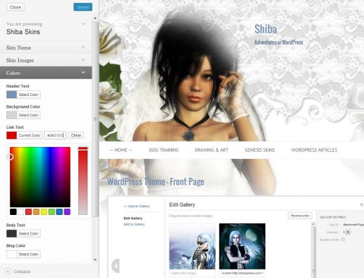 Screenshot of how to change colors in your WordPress wedding blog.