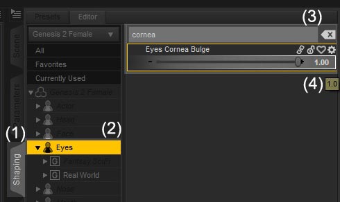 Screenshot of how to access and change the Cornea Bulge parameter for our human figure.