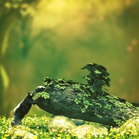 Qualifying item used Dandelions by Predatron