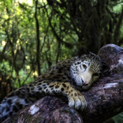 Qualifying item used DAZBigCat by DAZ Originals.